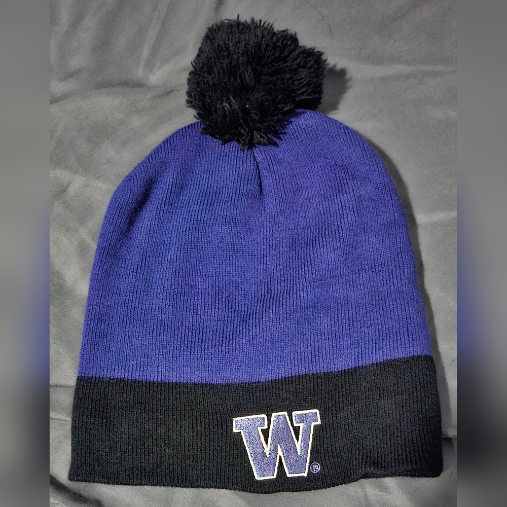 Purple and Black Pom-Pom Beanie